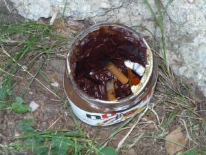 Balaton_Kékszalag_2009_0619_131657